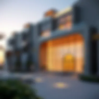 Magnificent Exploring Miraclz by Danube: A Comprehensive Review