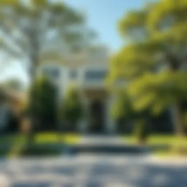 Magnificent Trees and Residences: A Harmonious Coexistence in Urban Living Magnificent Trees and Residences: A Harmonious Coexistence in Urban Living