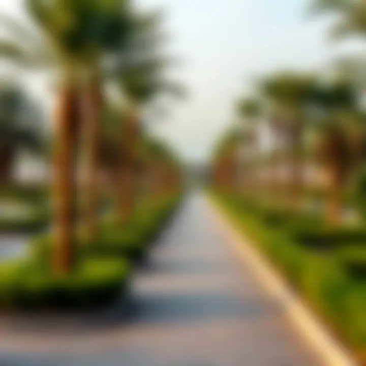 Notable A Comprehensive Exploration of Al Uraibi Park: A Gem in Dubai's Real Estate Mosaic
