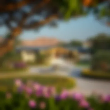 Lush landscape surrounding Al Hamar