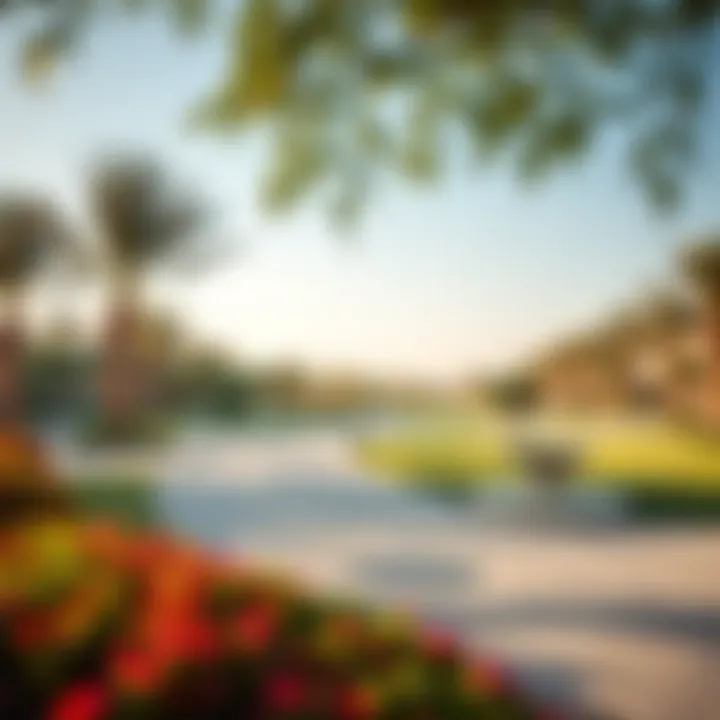 A tranquil park in Al Rashidiya, illustrating community amenities and outdoor leisure spaces