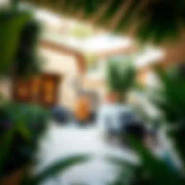 Vibrant outdoor area with greenery and leisure spaces