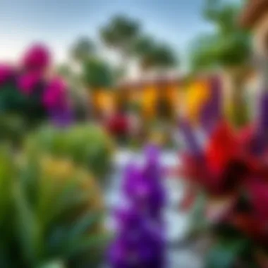 Lush and Vibrant Landscaping in Backyard Aljada Vibrant landscaping featuring native plants in Backyard Aljada