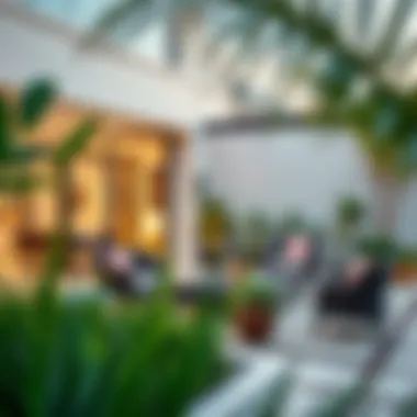 Outdoor space transformation highlighting beautiful landscaping and decor