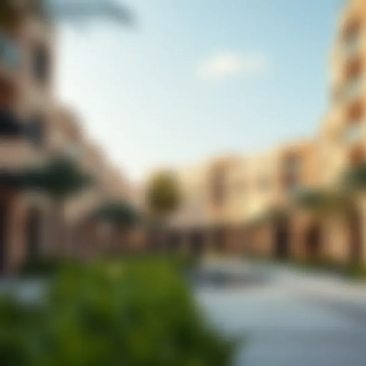 Innovative community spaces developed by Living Legends