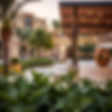 Outdoor Amenities and Community of Dubai Hills Maple Outdoor amenities and community of Dubai Hills Maple