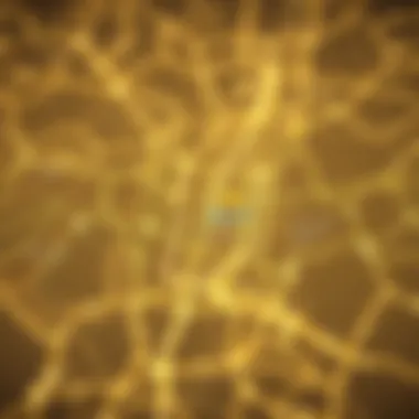 Map of Dubai highlighting the new Etihad Rail network connections