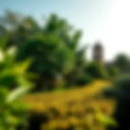 Lush greenery and scenic landscapes of Al Barari Park