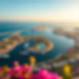 Aerial view of Bluewaters Island showcasing its vibrant landscape