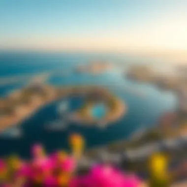 Aerial view of Bluewaters Island showcasing its vibrant landscape