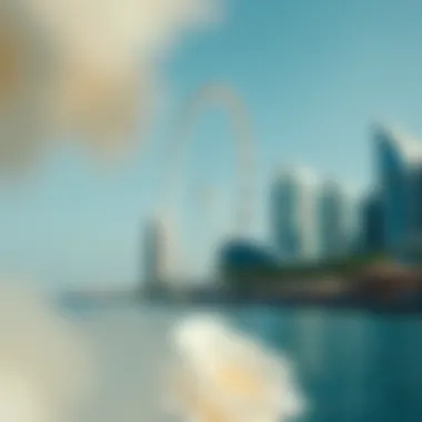 The iconic observation wheel, Ain Dubai, standing tall against the skyline