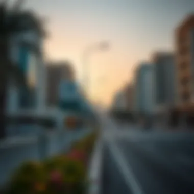 Investment opportunities represented by real estate signs on Dana Road