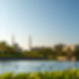 A serene view of DSO Lake highlighting its tranquil waters and surrounding greenery.