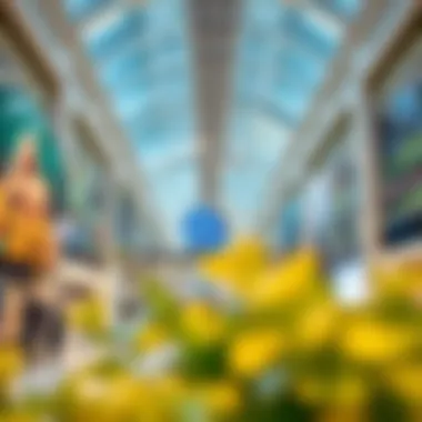 Retail Therapy at Dubai Hills Mall Vibrant retail spaces filled with unique brands at Dubai Hills Mall