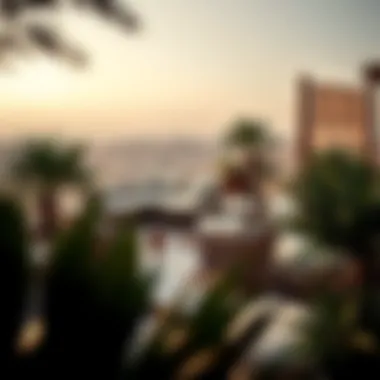 A hidden terrace with a lush garden overlooking the desert