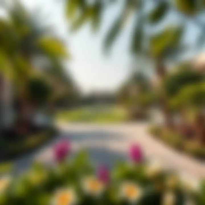 Community Park in Garden Valley Community park in Garden Valley with lush greenery and recreational areas