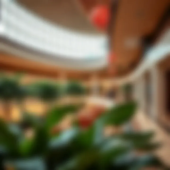 Luxurious Amenities of Jimmi Mall Luxurious amenities enhancing the shopping experience