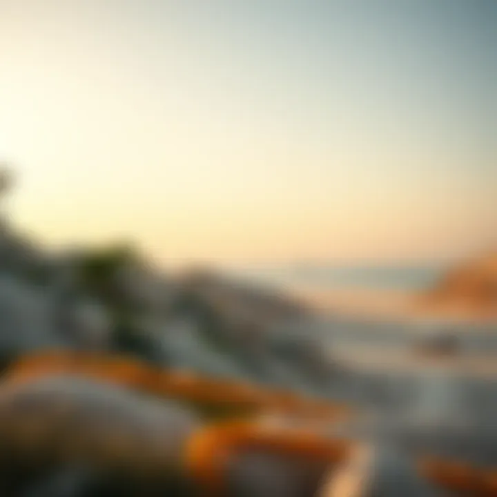 Exploring Mamzar Beach: A Comprehensive Guide to Dubai's Coastal Gem Summary