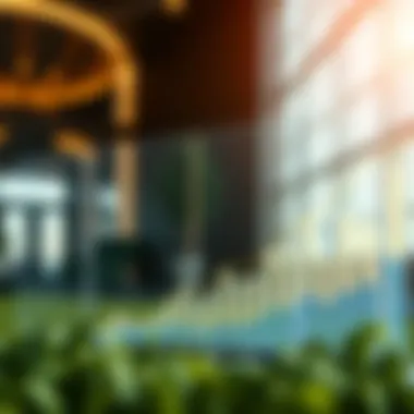 Investment trends graph depicting the growth potential of DMCC