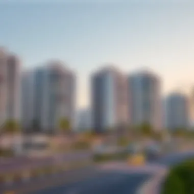 Modern residential buildings along Mina Road illustrating community integration