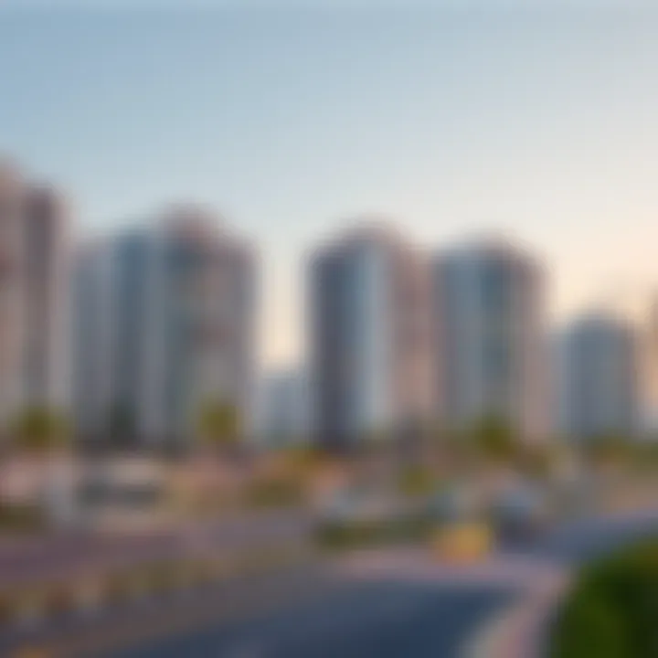 Modern residential buildings along Mina Road illustrating community integration