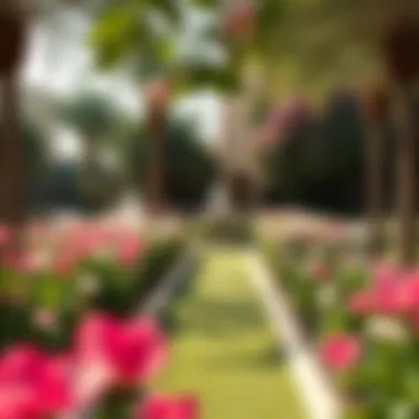 A serene garden area in one of Dubai's parks with blooming flowers