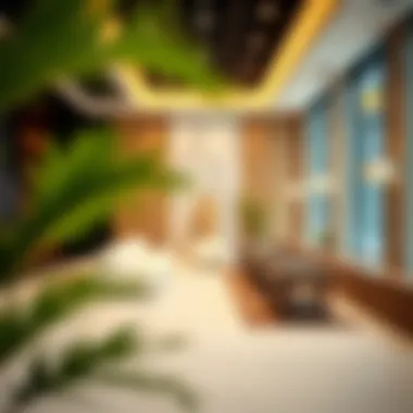 Elegant backdrop options for photography sessions