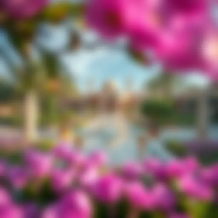 Tranquil Gardens of قصر الإمارات Stunning gardens surrounding قصر الإمارات, symbolizing tranquility and beauty