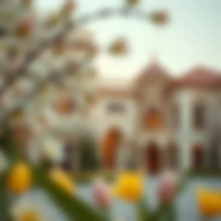 Luxurious properties in Dubai with spring features