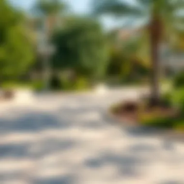 Tranquil neighborhood parks in Dubai during spring