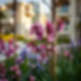 Vibrant spring bloom in a Dubai residential area