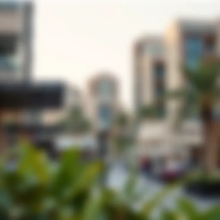 Community Amenities in Karama Community amenities in Karama including parks and shops