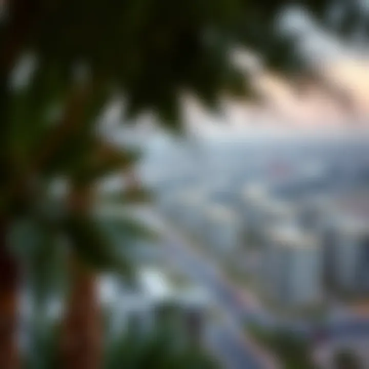 Panoramic view of the surrounding community of بن غاطي هايتس