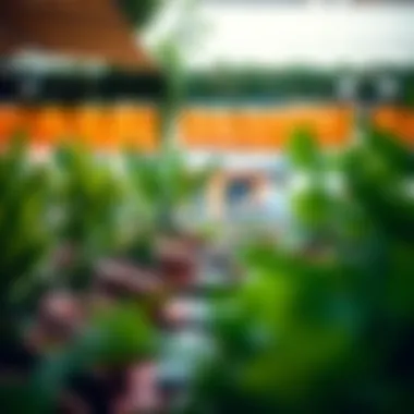 Cozy outdoor seating area surrounded by greenery