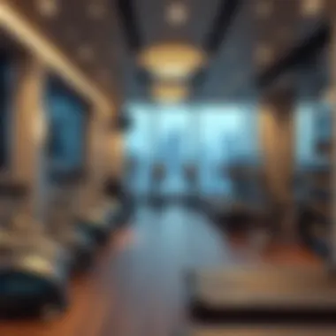 Graphical representation of trends in private gym popularity