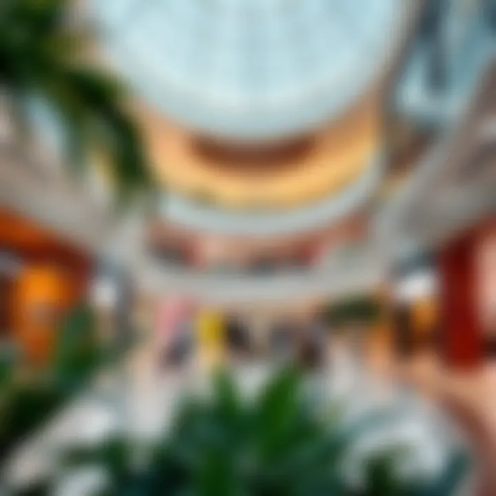 Diverse retail offerings showcasing tenant mix