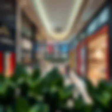 Retail spaces inside Dubai Hills Mall featuring diverse brands