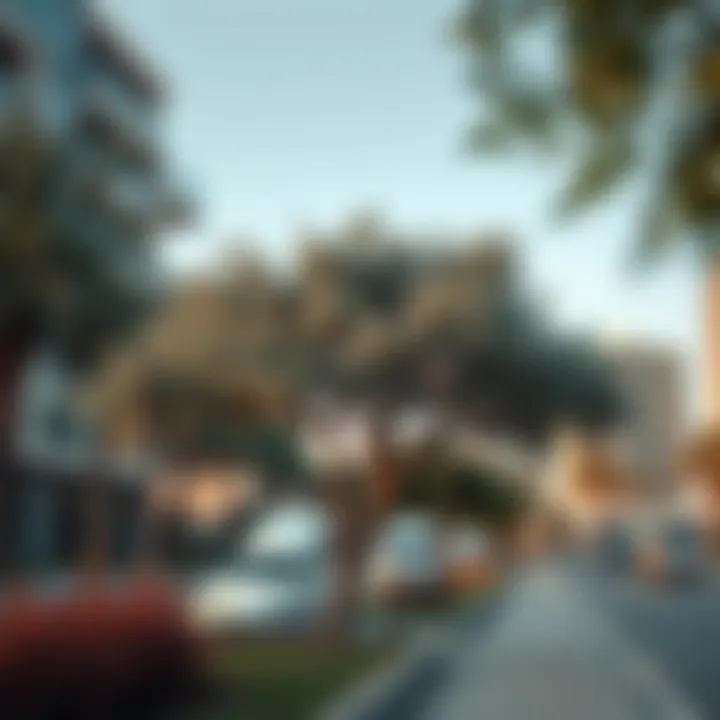 Silver Oak in an urban Dubai landscape