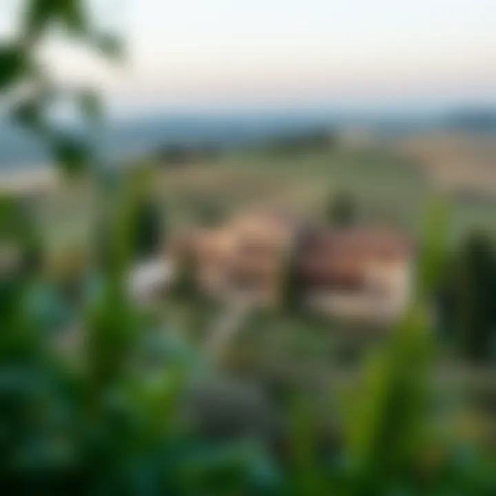 The Enchanting Tuscan Countryside Embracing Homes Lush Tuscan countryside surrounding a residence