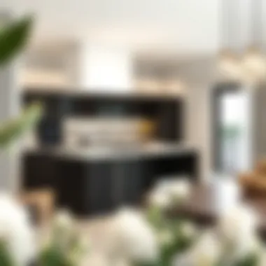 Modern kitchen concept from Villanova floor plans