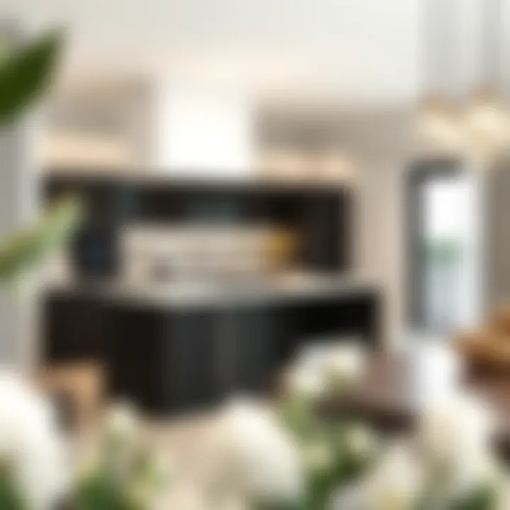 Modern kitchen concept from Villanova floor plans