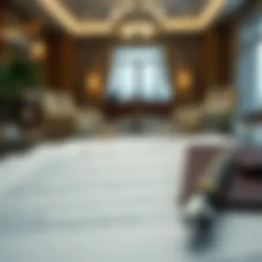 Essential documents for visa renewal laid out