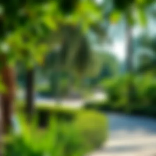 Lush greenery in Mushrif Park