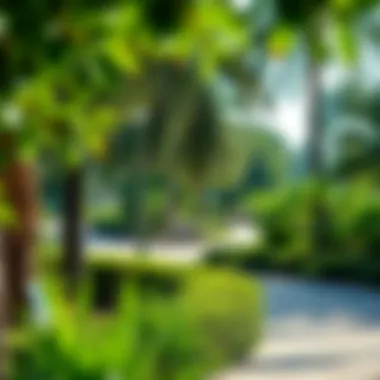 Vibrant Nature at Mushrif Park Lush greenery in Mushrif Park