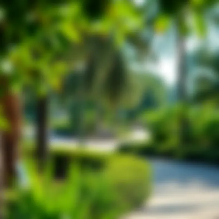 Vibrant Nature at Mushrif Park Lush greenery in Mushrif Park