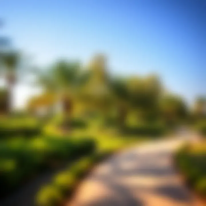 Serene Walking Trails in Mushrif Park Walking trails surrounded by trees in Mushrif Park