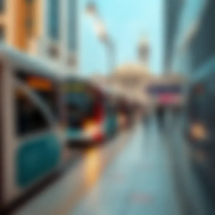 Guidebook for Dubai public transportation