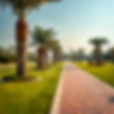 Scenic pathways within Ragayeb Park ideal for leisurely strolls