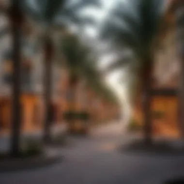 Community features surrounding Salim 1 Arjan