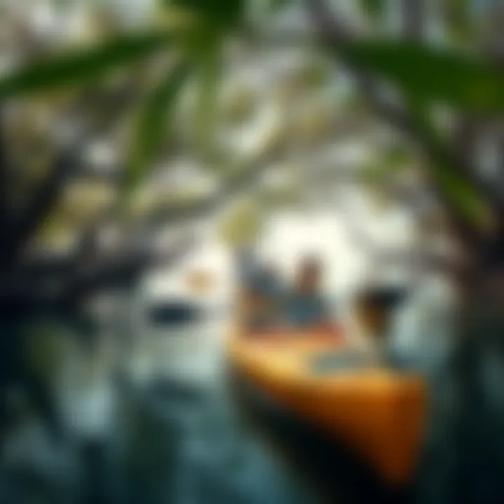 Visitors engaging in kayaking among the mangrove trees